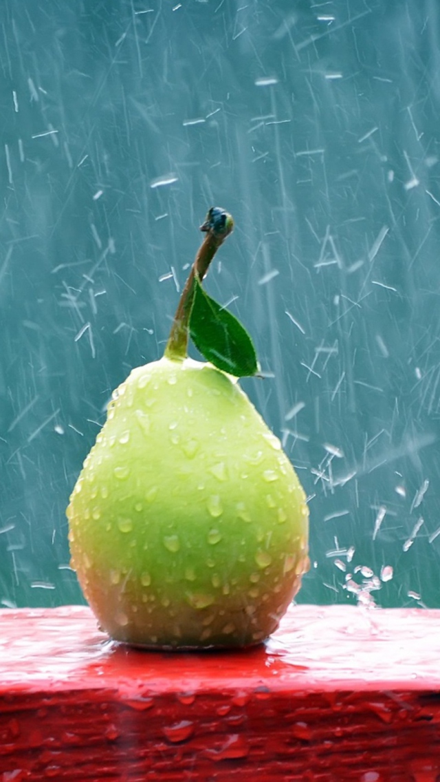 Green Pear In The Rain wallpaper 640x1136