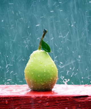 Green Pear In The Rain papel de parede para celular para 176x220