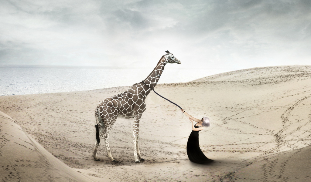 Das Girl And Giraffe Wallpaper 1024x600