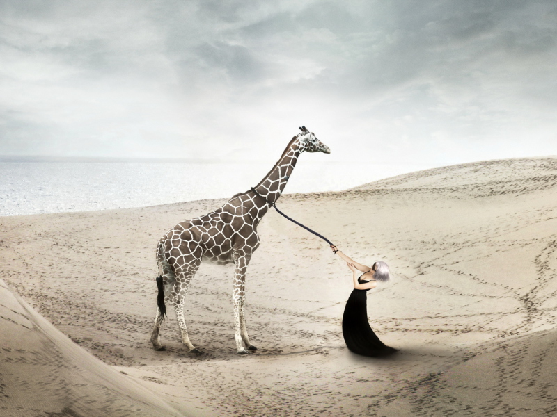 Screenshot №1 pro téma Girl And Giraffe 800x600