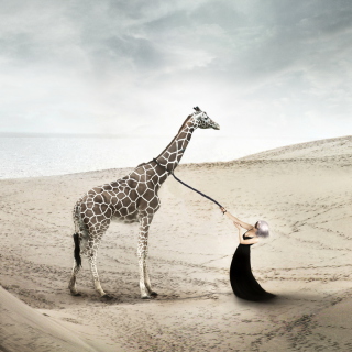 Girl And Giraffe - Obrázkek zdarma pro 208x208