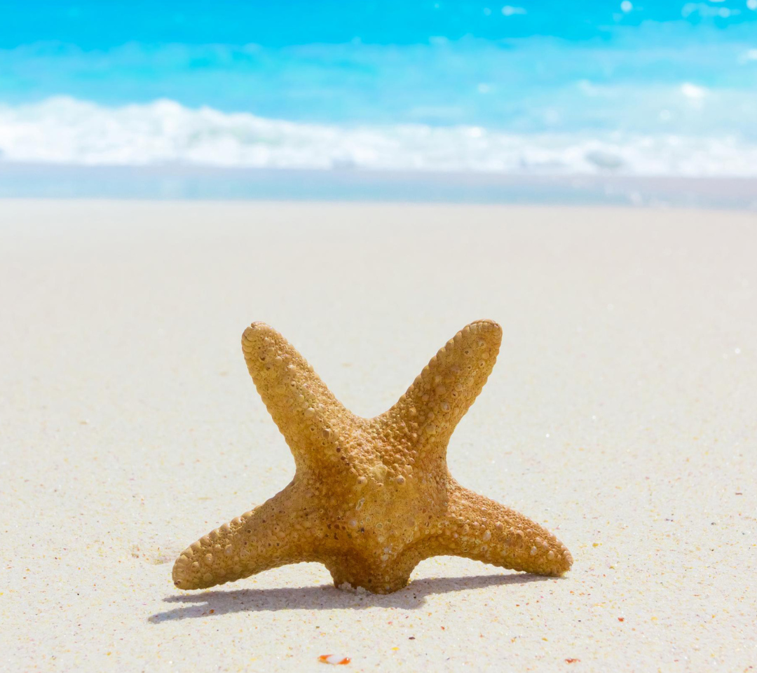 Обои Starfish On Beach 1080x960