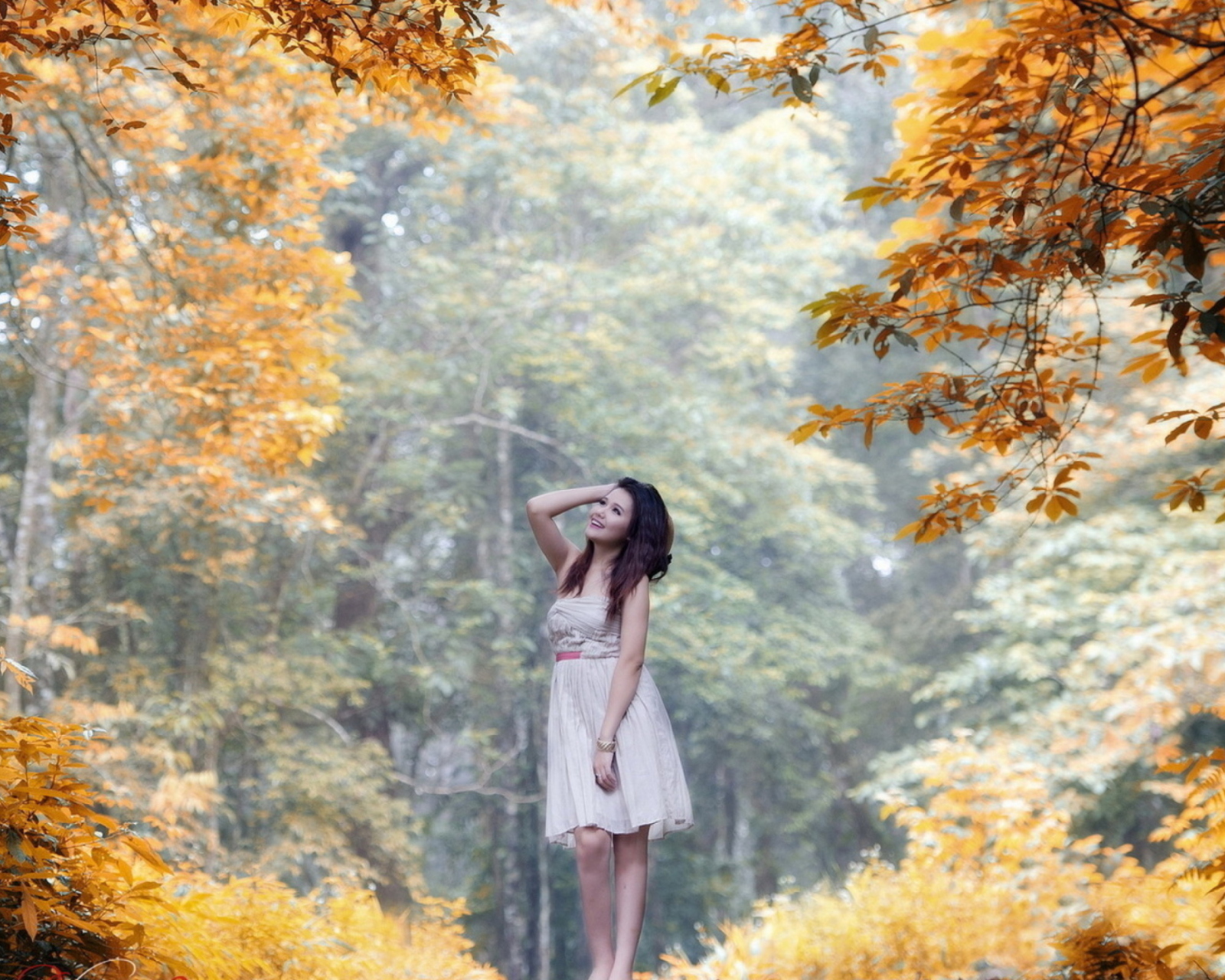 Fondo de pantalla Girl In Autumn Forest 1600x1280