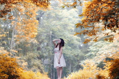 Screenshot №1 pro téma Girl In Autumn Forest 480x320