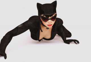 Batman Arkham City Video Game Catwoman - Obrázkek zdarma pro HTC EVO 4G