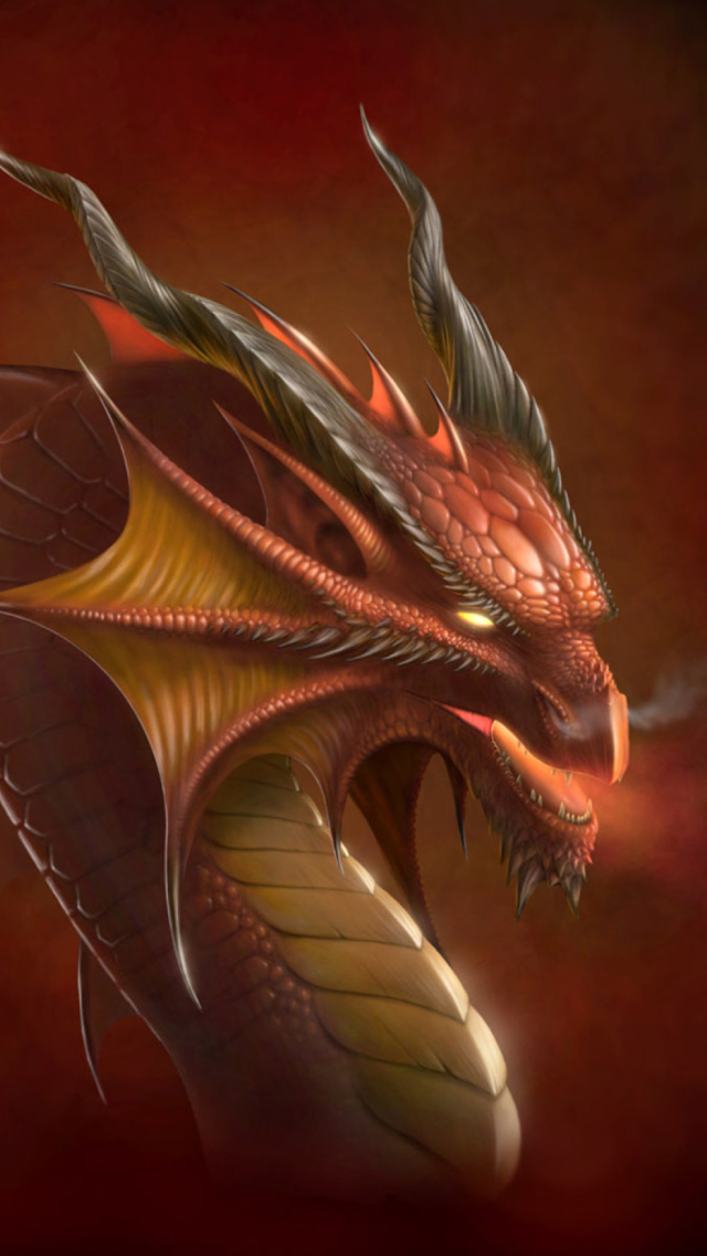 Das Dragon Head Wallpaper 640x1136