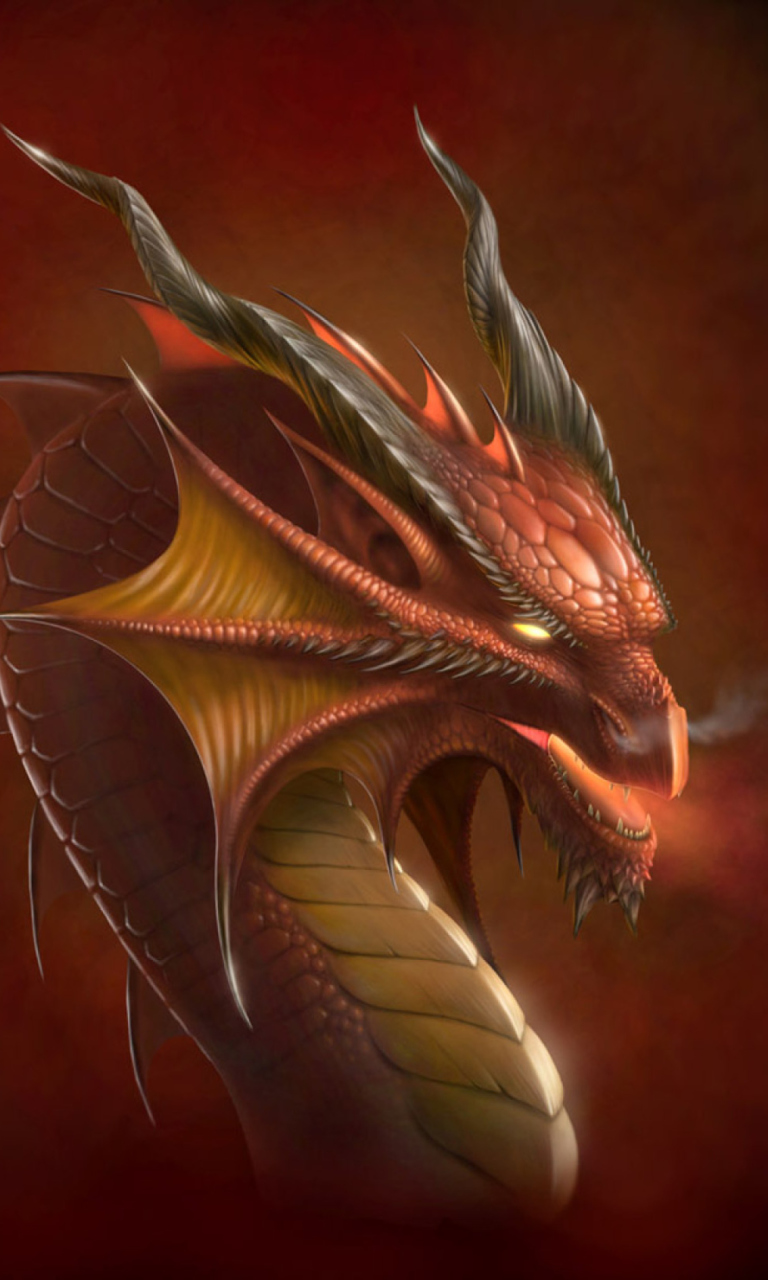 Das Dragon Head Wallpaper 768x1280
