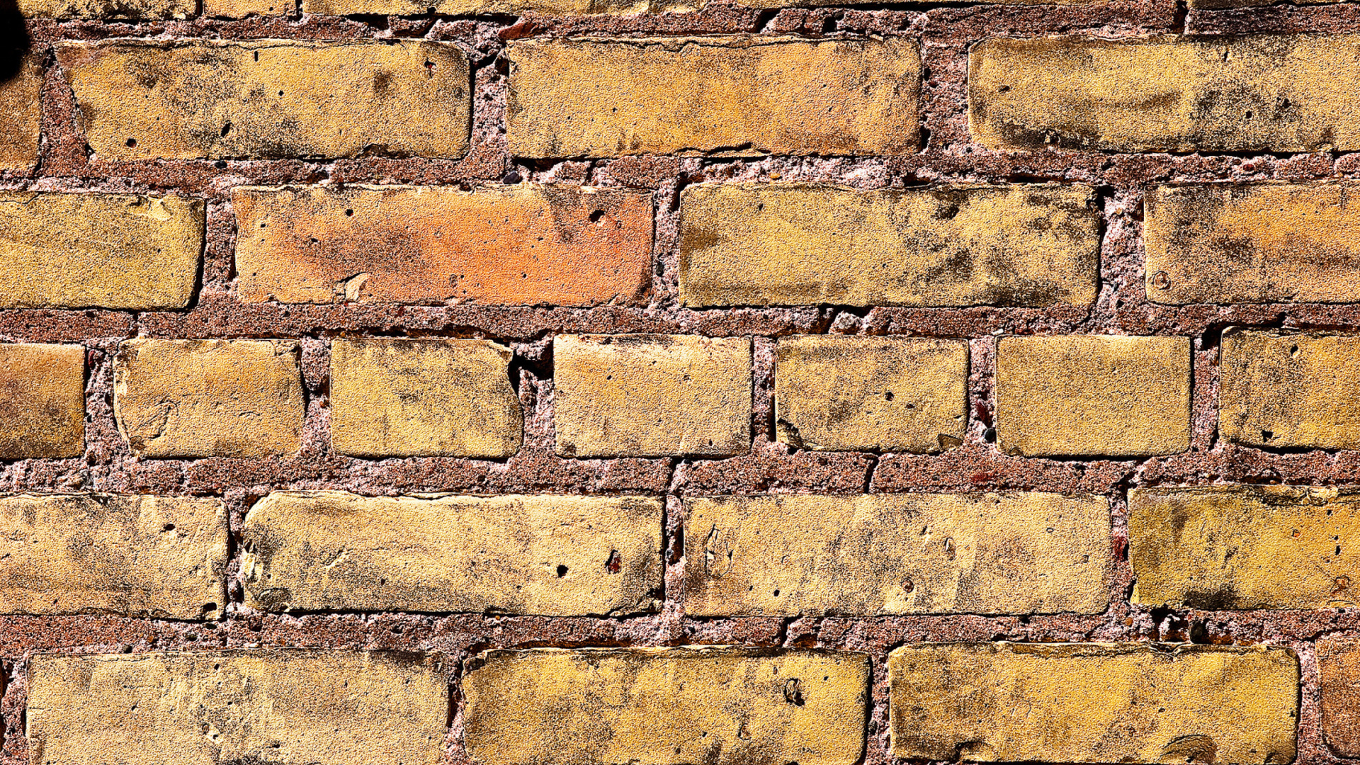 Обои Brick Wall 1920x1080