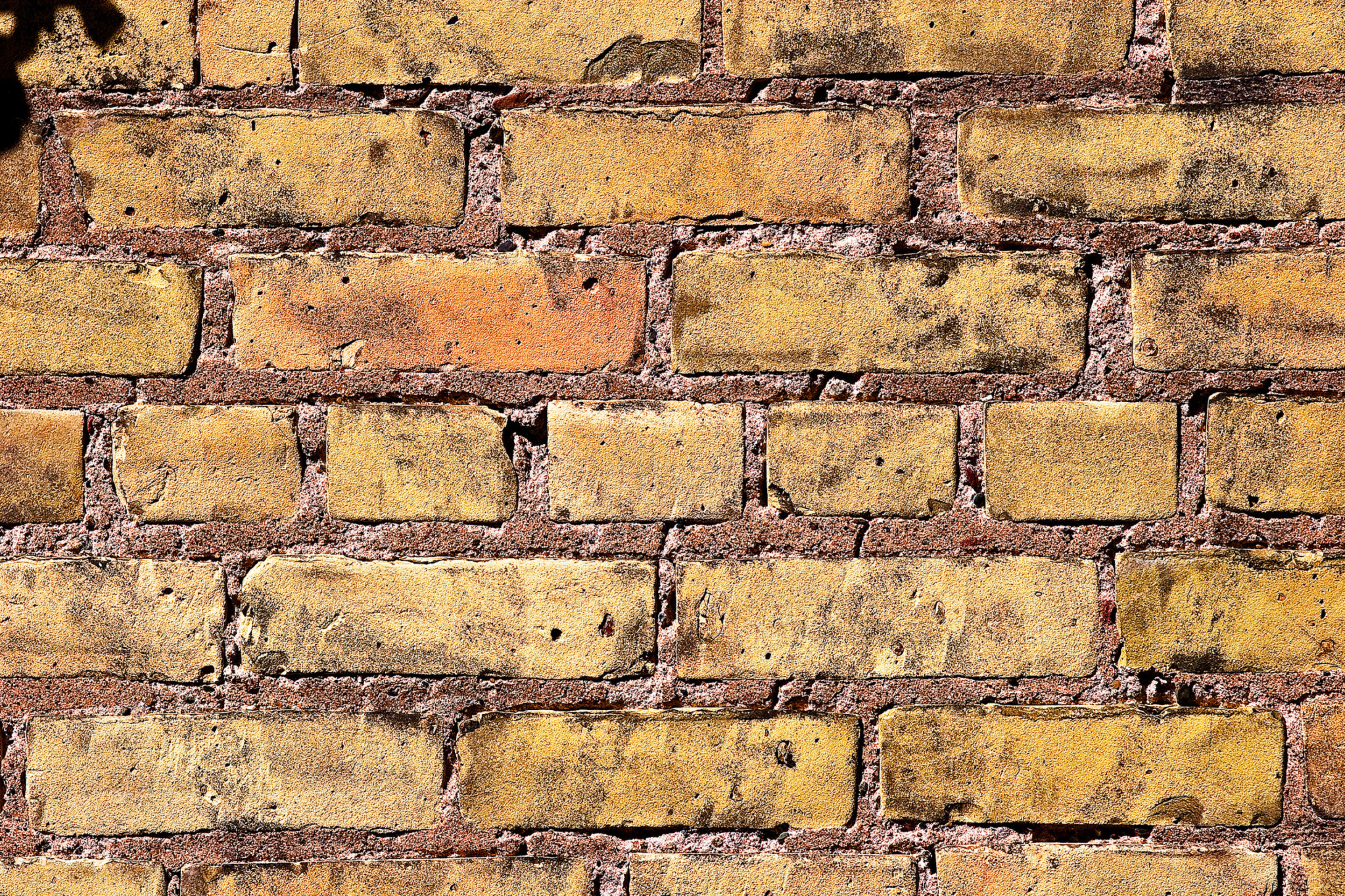 Fondo de pantalla Brick Wall 2880x1920