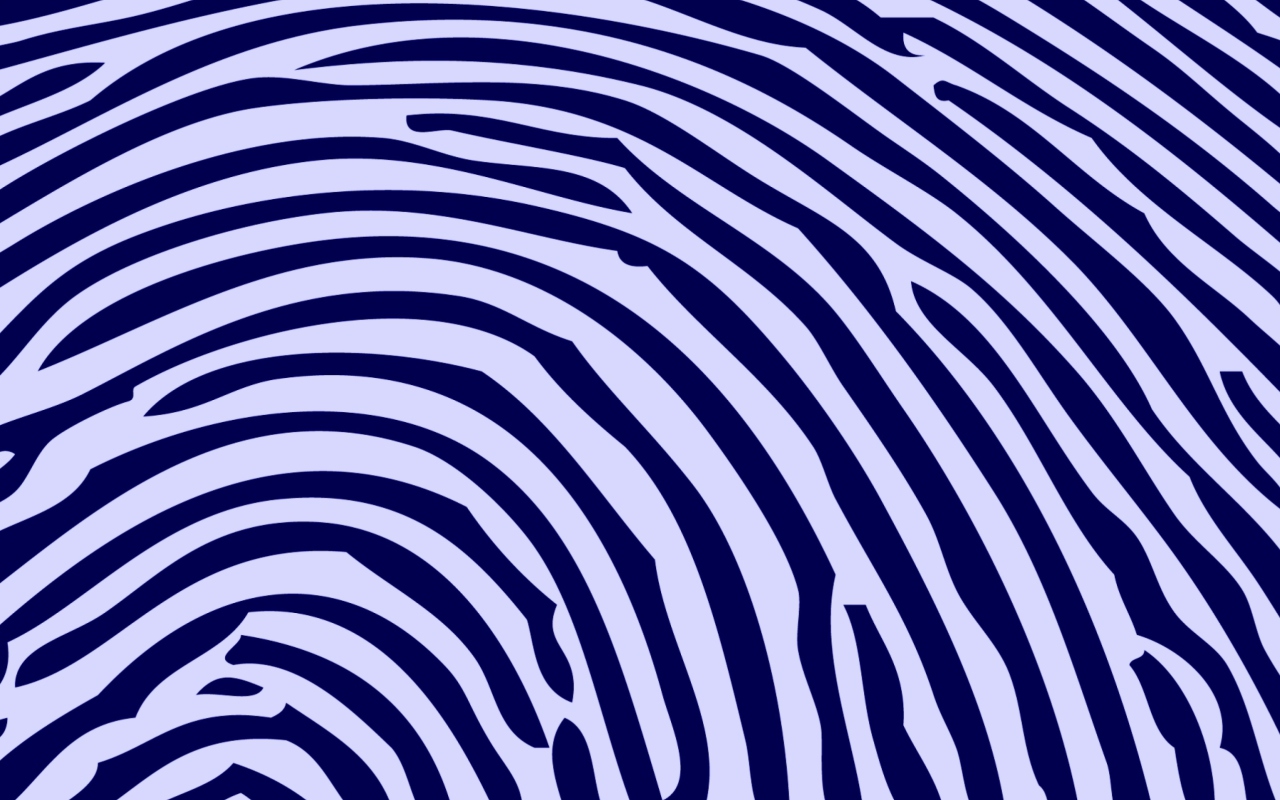 Das Zebra Pattern Wallpaper 1280x800