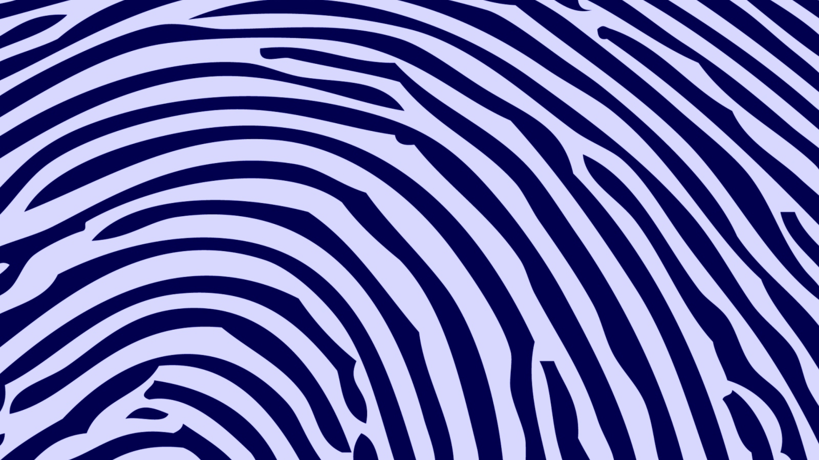 Sfondi Zebra Pattern 1600x900