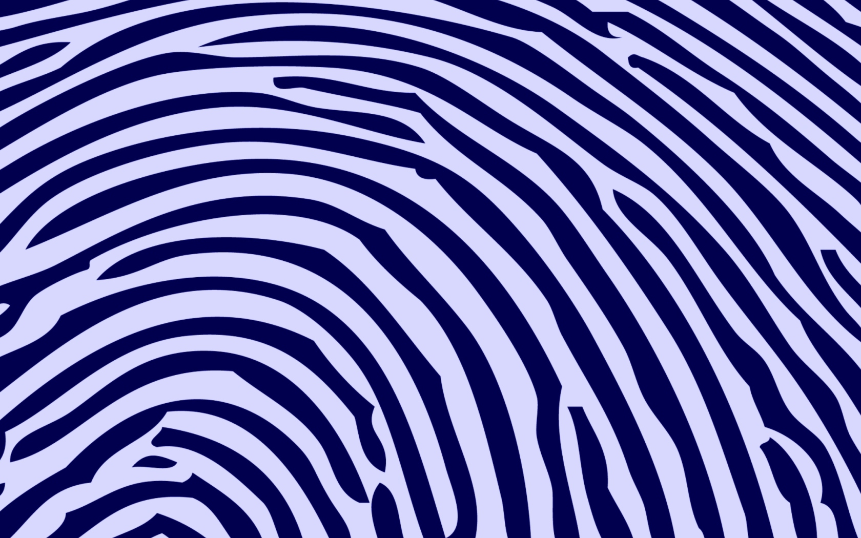 Sfondi Zebra Pattern 1680x1050