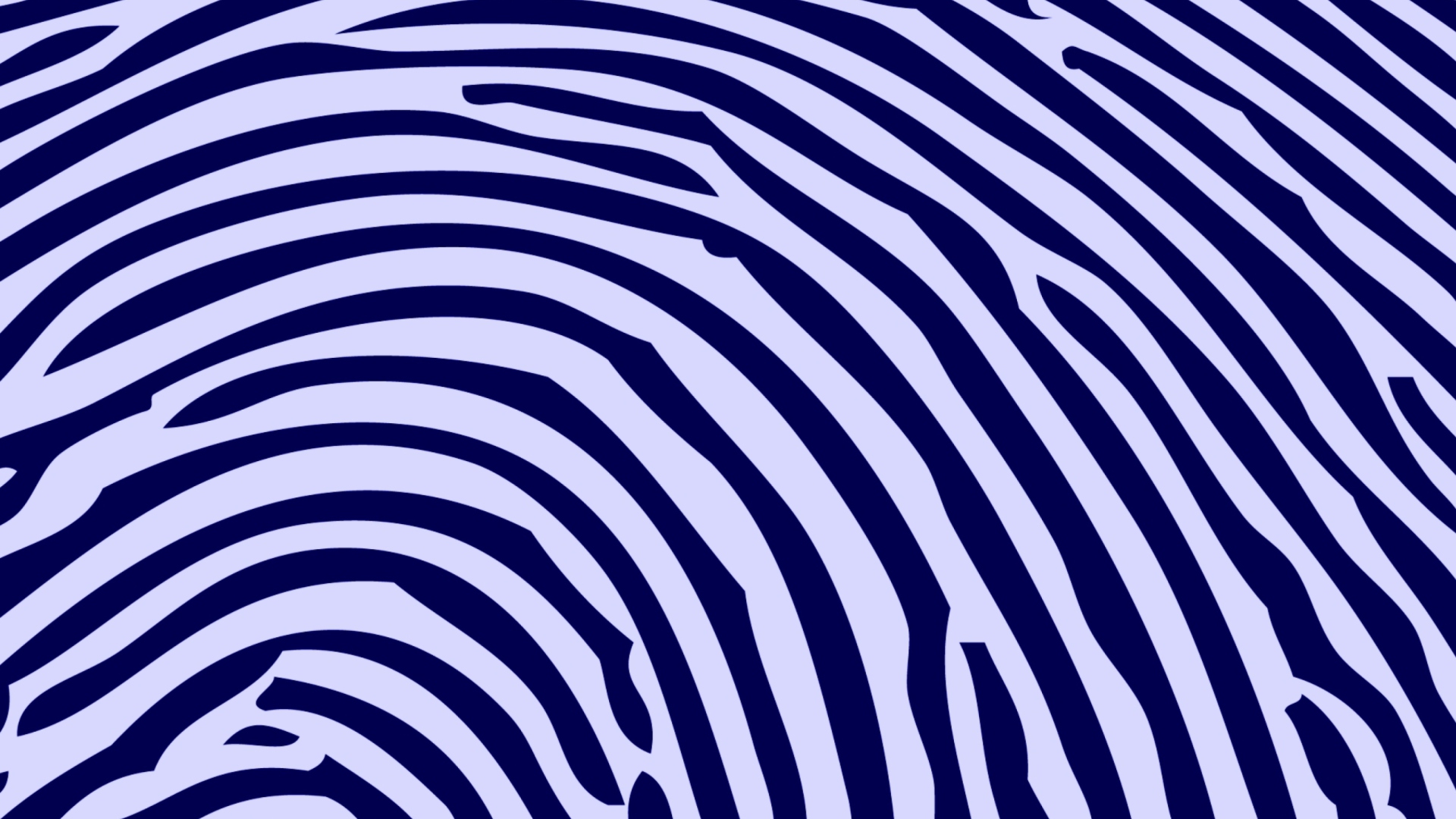 Das Zebra Pattern Wallpaper 1920x1080