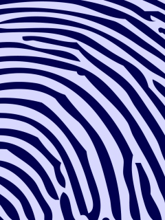 Zebra Pattern wallpaper 240x320