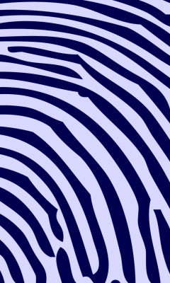 Fondo de pantalla Zebra Pattern 240x400