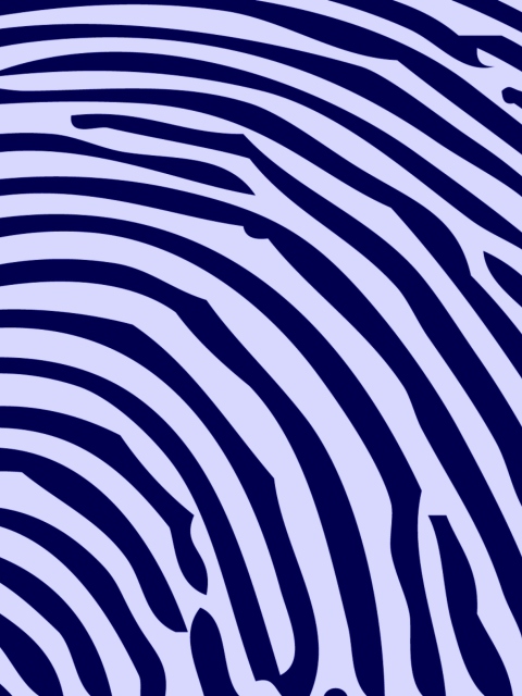 Обои Zebra Pattern 480x640