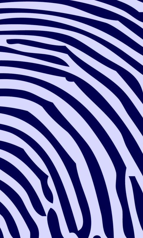 Fondo de pantalla Zebra Pattern 480x800