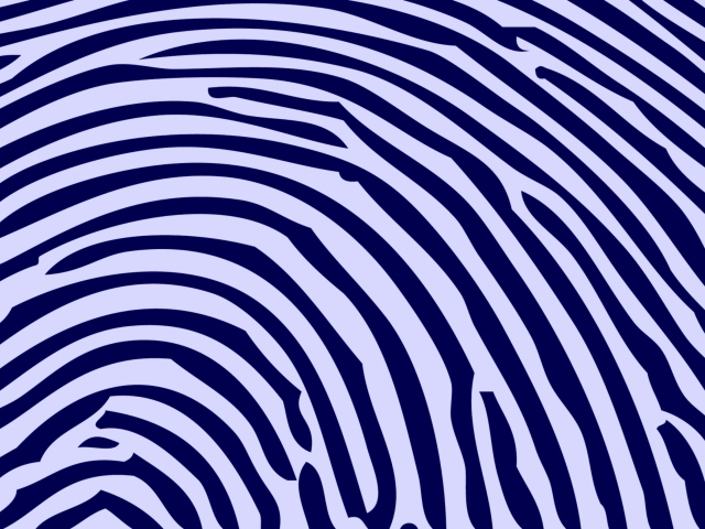 Zebra Pattern screenshot #1 640x480