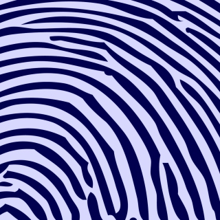 Zebra Pattern - Obrázkek zdarma pro iPad