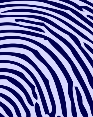 Zebra Pattern - Obrázkek zdarma pro 240x320