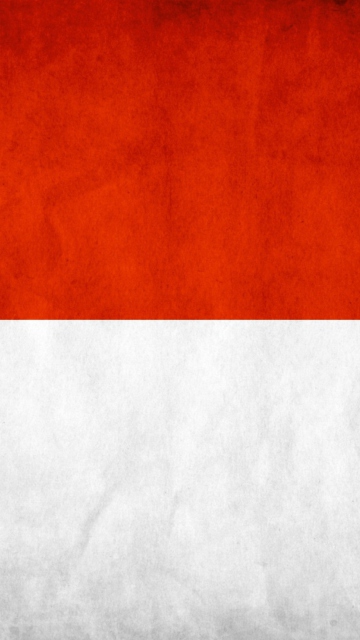 Fondo de pantalla Indonesia Grunge Flag 360x640