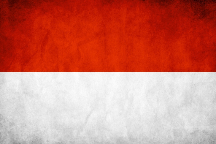 Indonesia Grunge Flag wallpaper