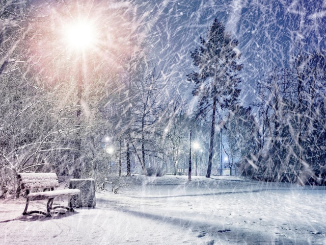 Das Winter Evening in Park Wallpaper 640x480
