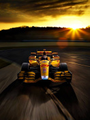 Honda Formula 1 Race Car screenshot #1 132x176