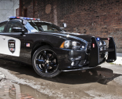 Обои Dodge Charger - Police Car 176x144