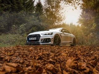 Обои Audi RS5 Coupe 320x240