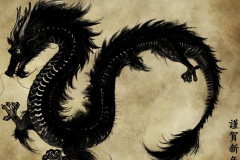 Chinese Black Dragon wallpaper 480x320