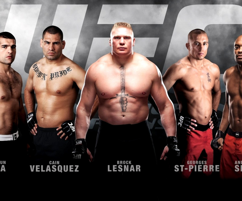 MMA mix Fighting, UFC wallpaper 960x800