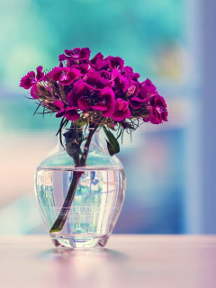 Flowers In Vase wallpaper 240x320