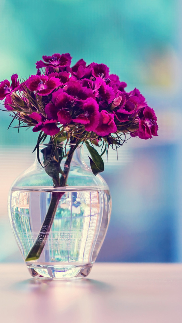 Screenshot №1 pro téma Flowers In Vase 640x1136
