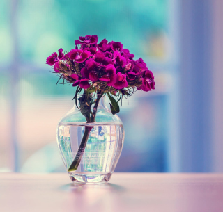 Kostenloses Flowers In Vase Wallpaper für iPad Air