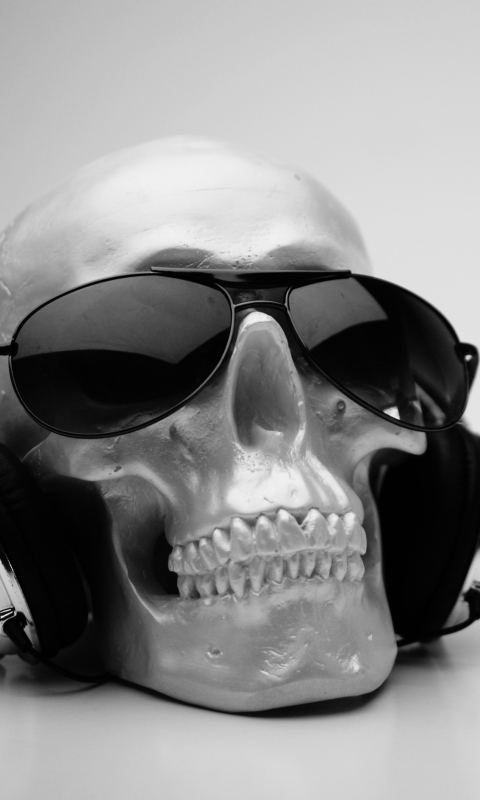 Screenshot №1 pro téma Fancy Skull 480x800