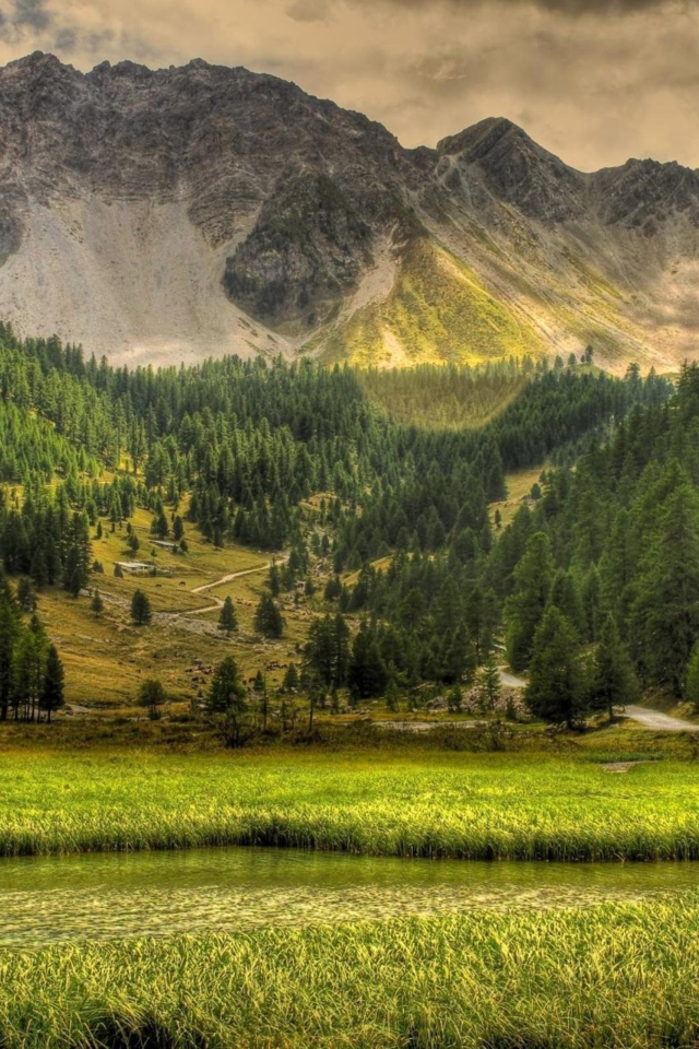 Das Green Nature Landscape Wallpaper 640x960