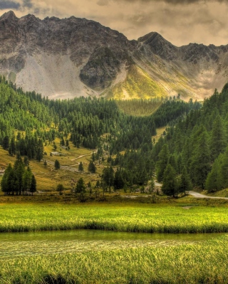 Kostenloses Green Nature Landscape Wallpaper für Nokia X1-00