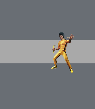 Bruce Lee Kung Fu - Obrázkek zdarma pro 240x400