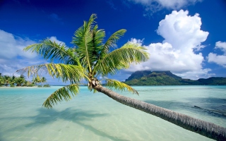 Beautiful Beach - Obrázkek zdarma pro Samsung Galaxy Tab 3