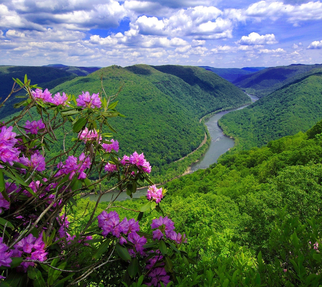 Das Beautiful Mountain River Wallpaper 1080x960