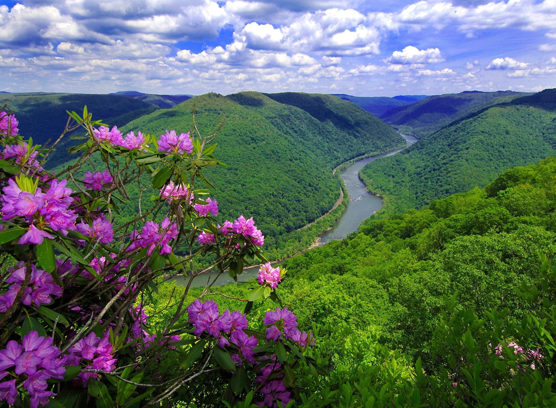 Beautiful Mountain River wallpaper 1920x1408