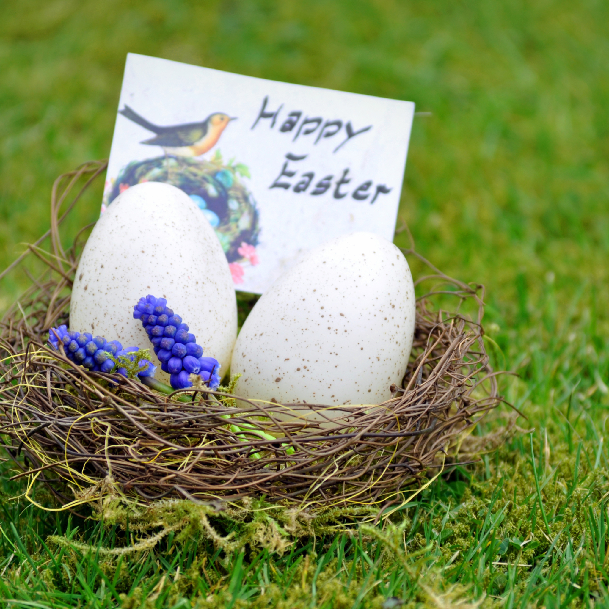 Screenshot №1 pro téma Happy Easter Nest 2048x2048