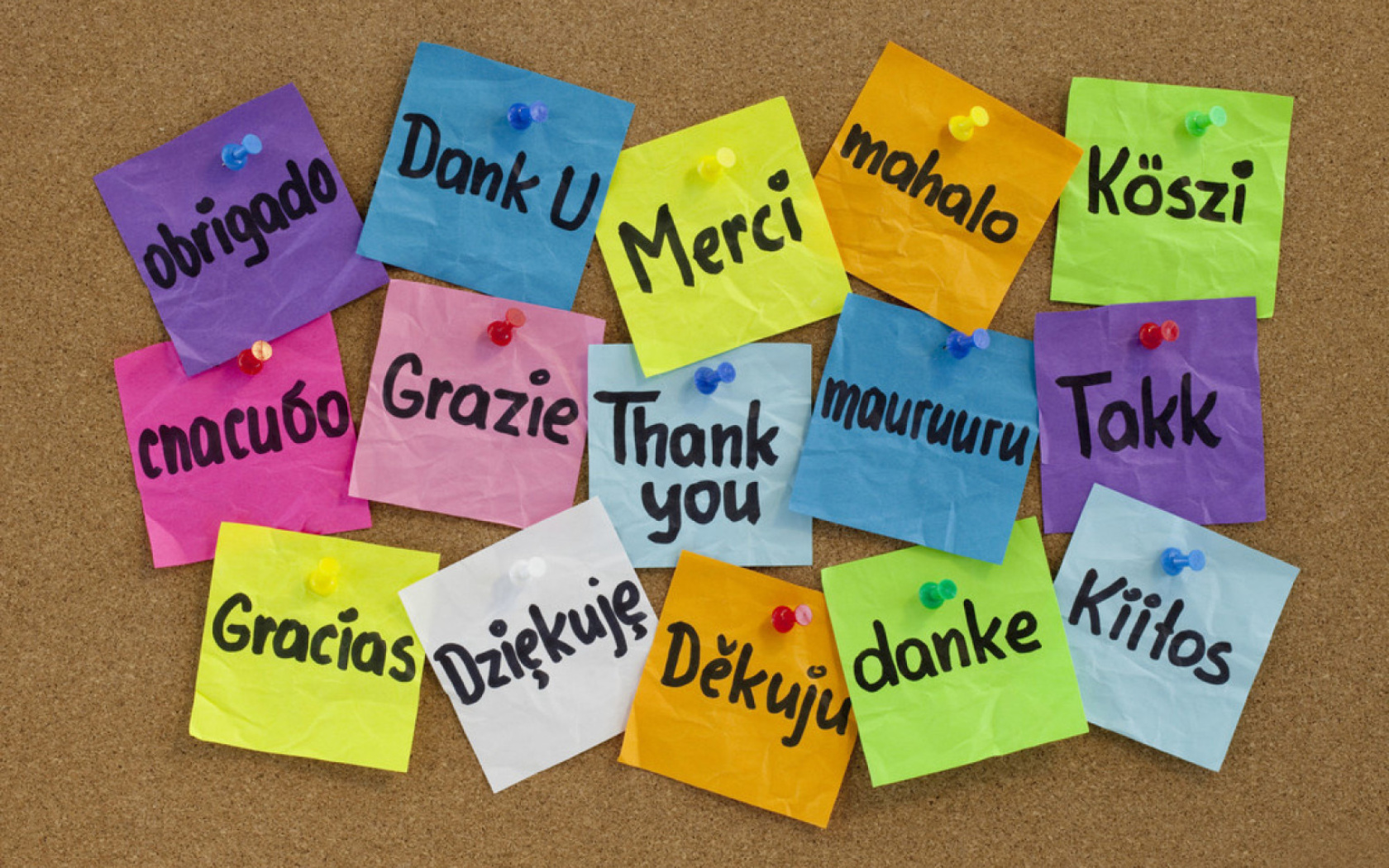 Das How To Say Thank You in Different Languages Wallpaper 1680x1050