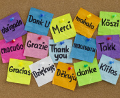 Обои How To Say Thank You in Different Languages 176x144