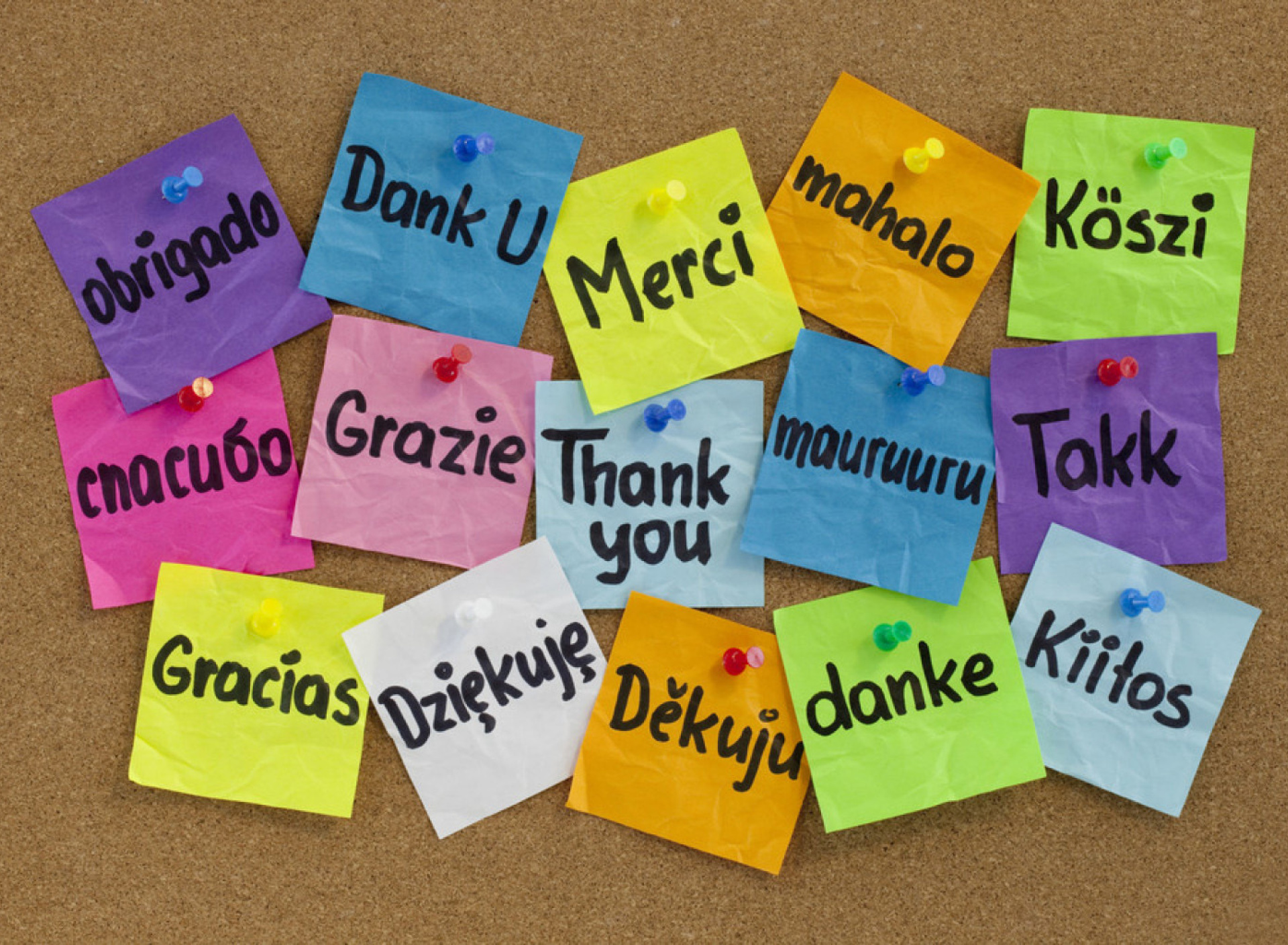 Das How To Say Thank You in Different Languages Wallpaper 1920x1408