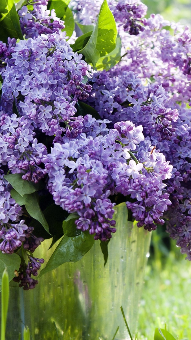 Sfondi Spring Lilac 640x1136