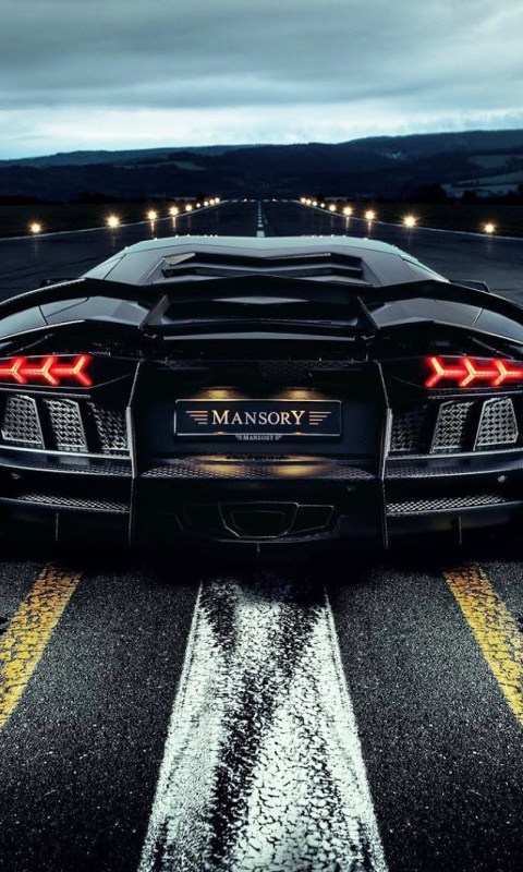 Обои Lamborghini Aventador Mansory 480x800