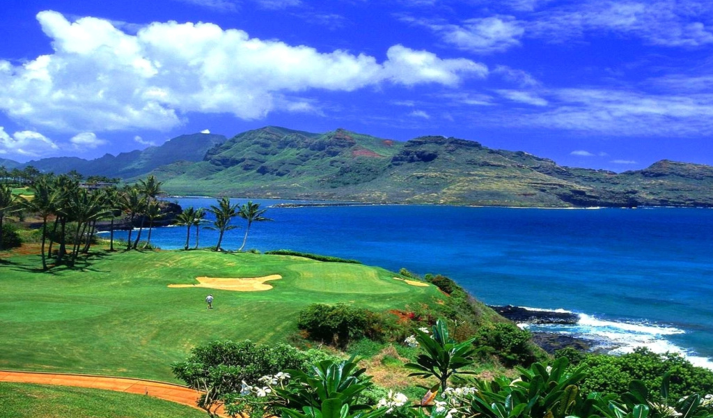 Das Paradise Golf Field Wallpaper 1024x600