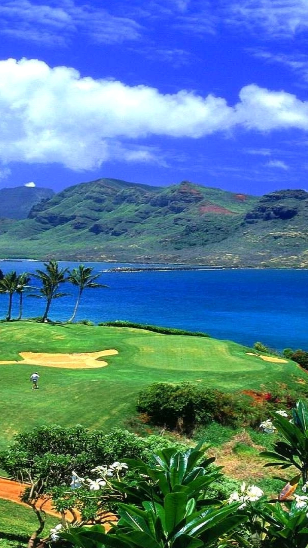 Paradise Golf Field wallpaper 1080x1920